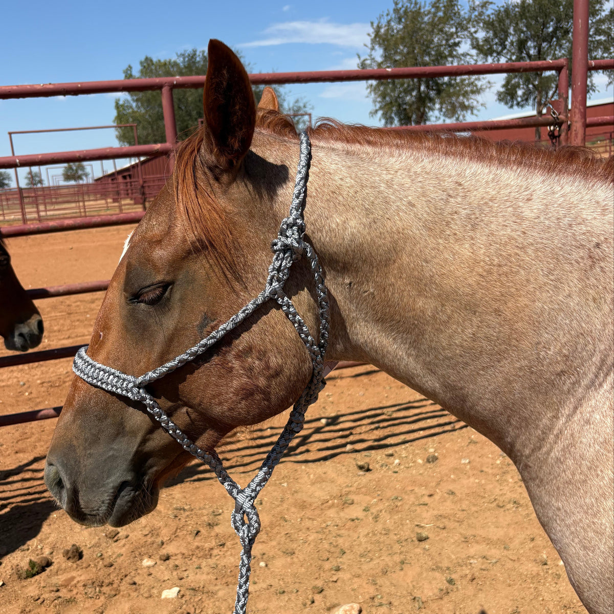 Braided Rope Halters