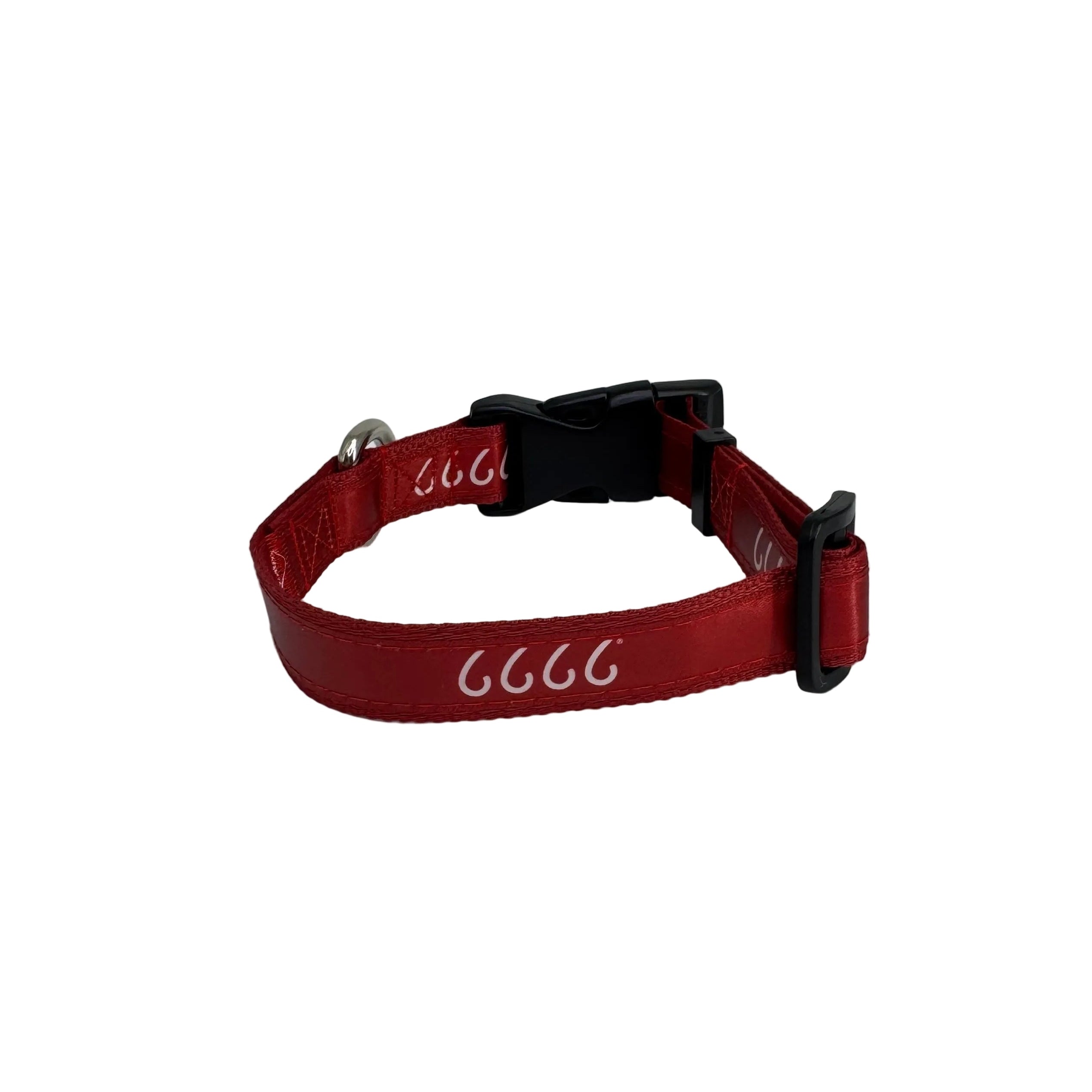 Four Sixes Dog Collar