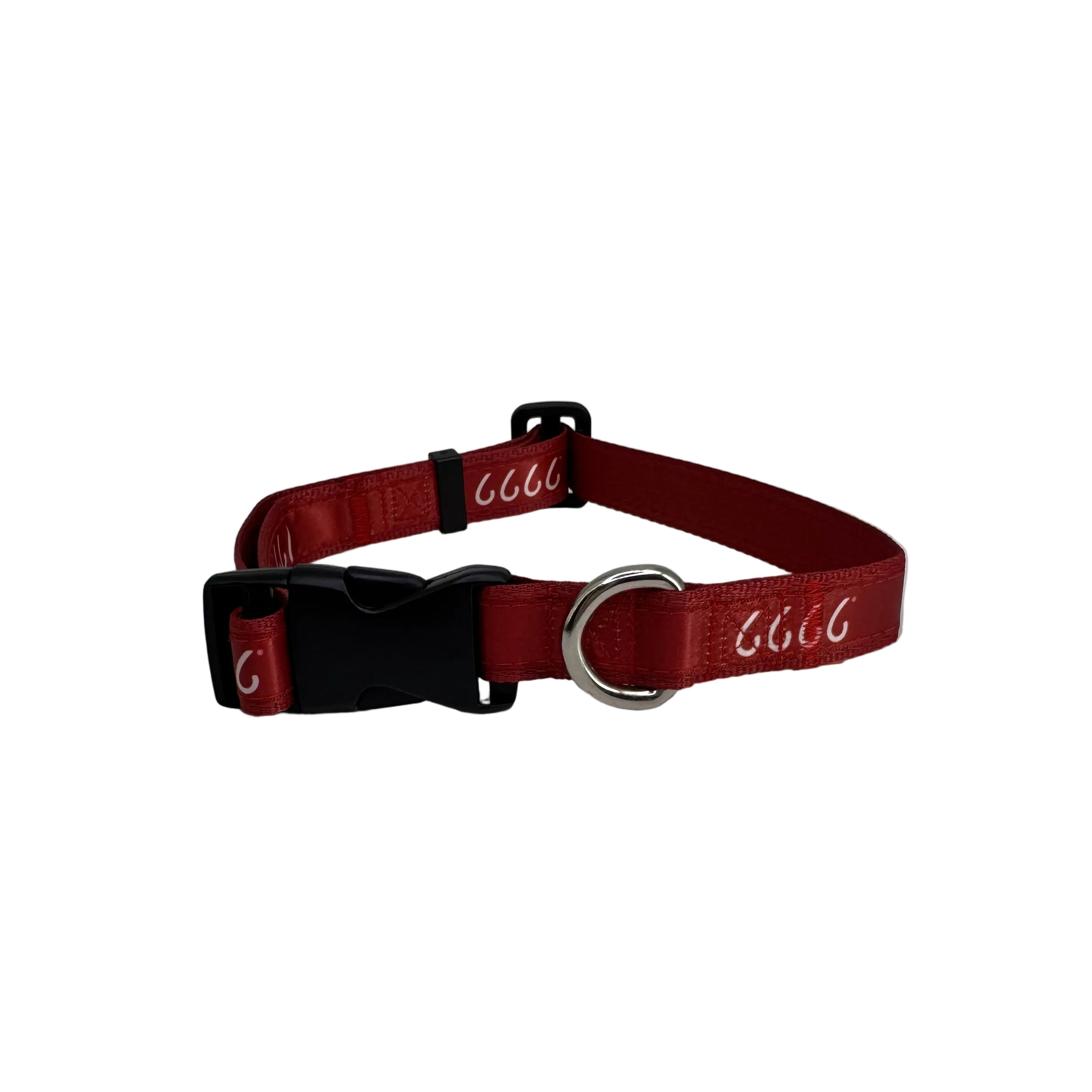 Four Sixes Dog Collar
