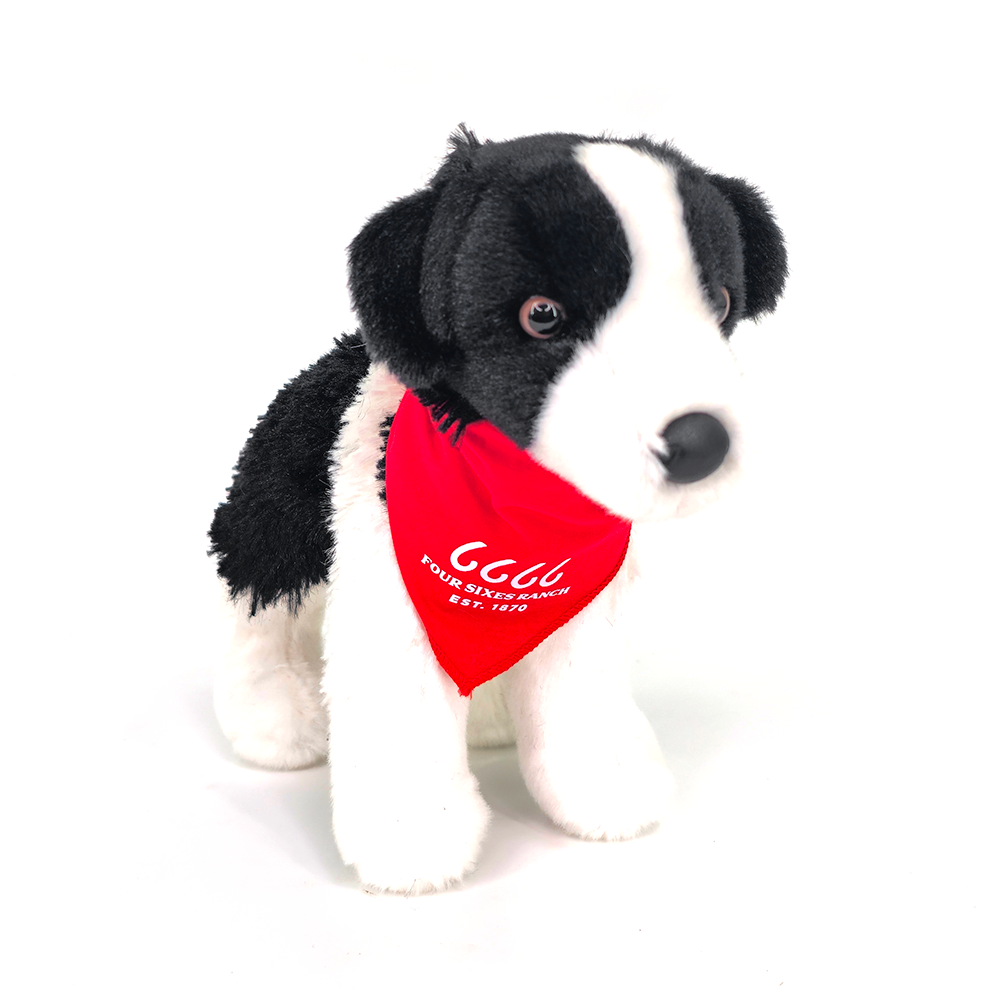 Four Sixes Small Border Collie- Meadow