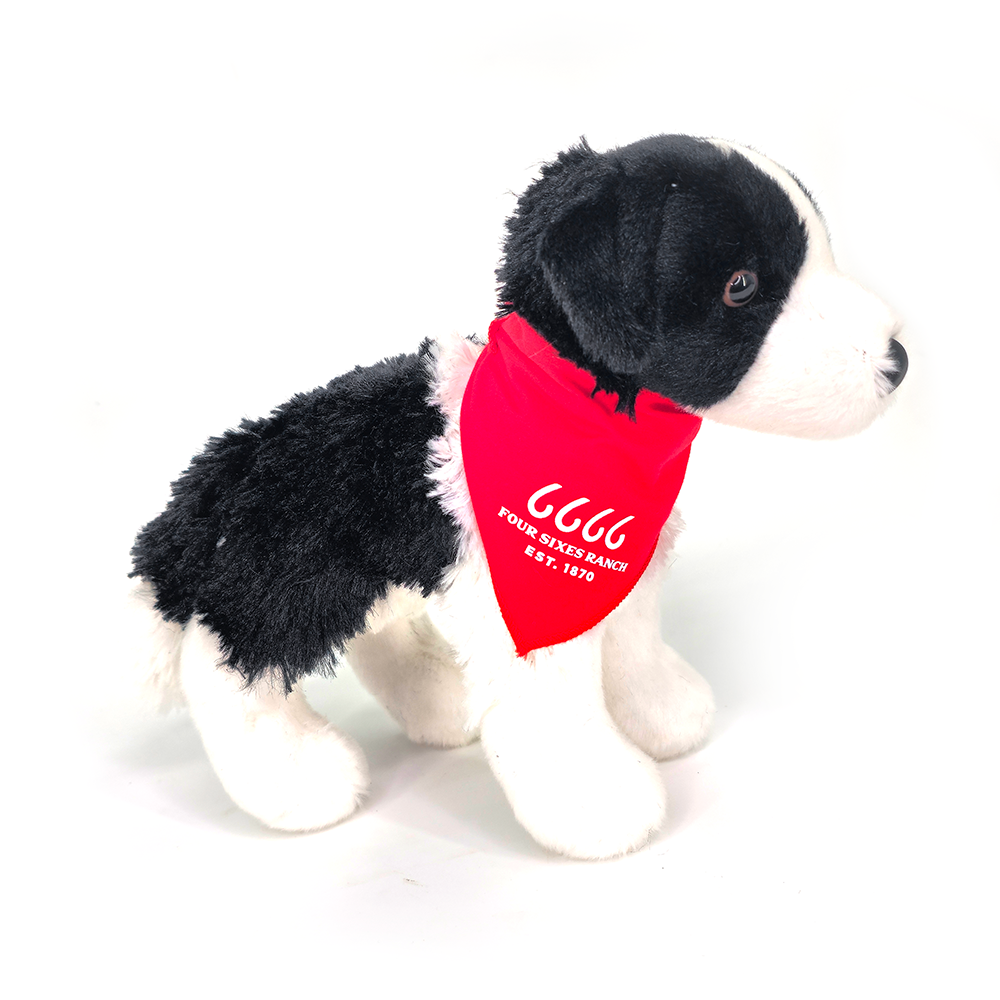 Four Sixes Small Border Collie- Meadow