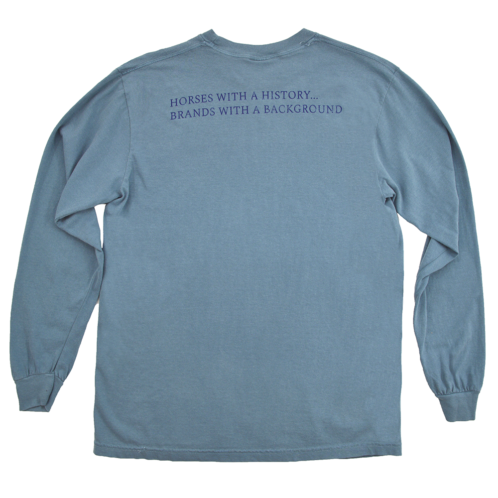 Brands with a Background Long Sleeve Back - Ice Blue