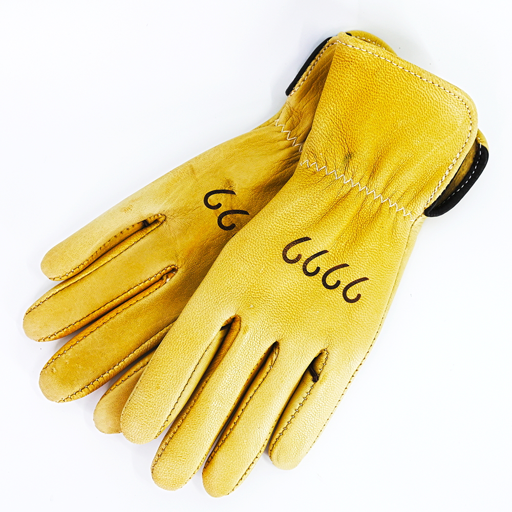 Gloves