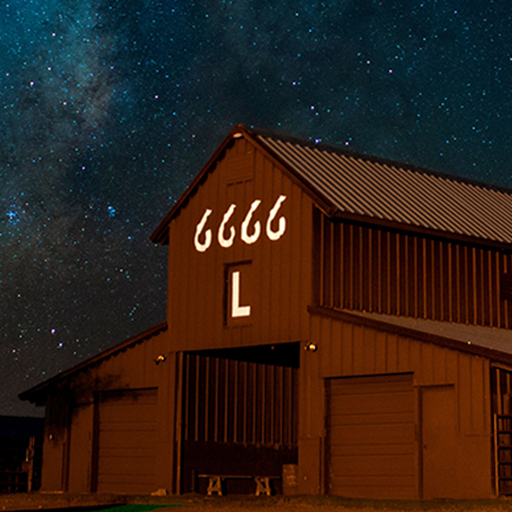 SALE - Four Sixes Apparel and Gifts on sale – Shop 6666 Ranch