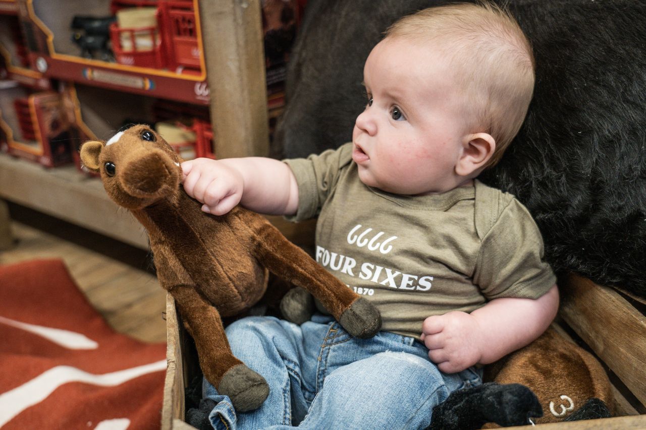 6666 Branded Quarter Horse Stuffed Animal
