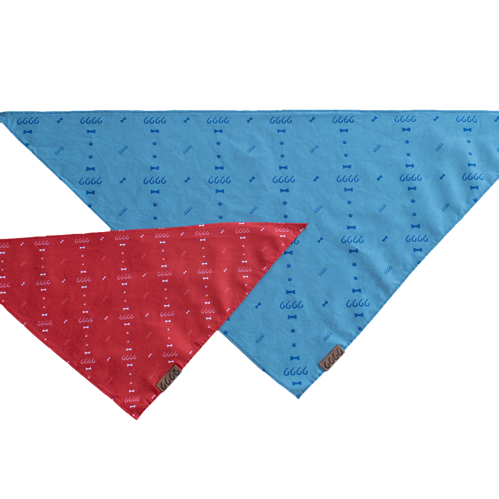 Scarves & Bandanas – Shop 6666 Ranch