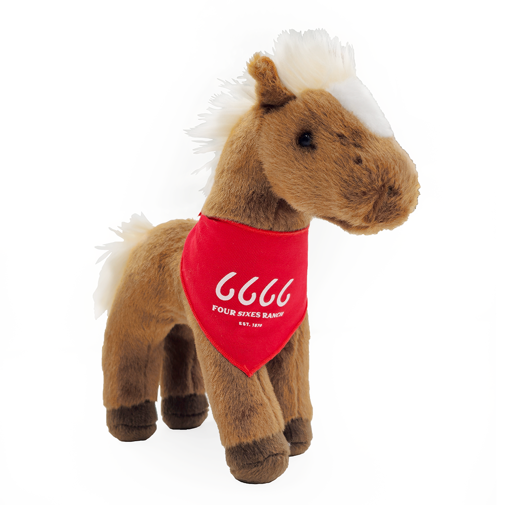 Four Sixes Chesnut Foal