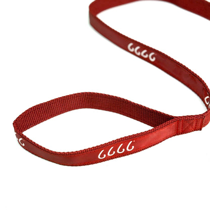 Four Sixes Dog Leash