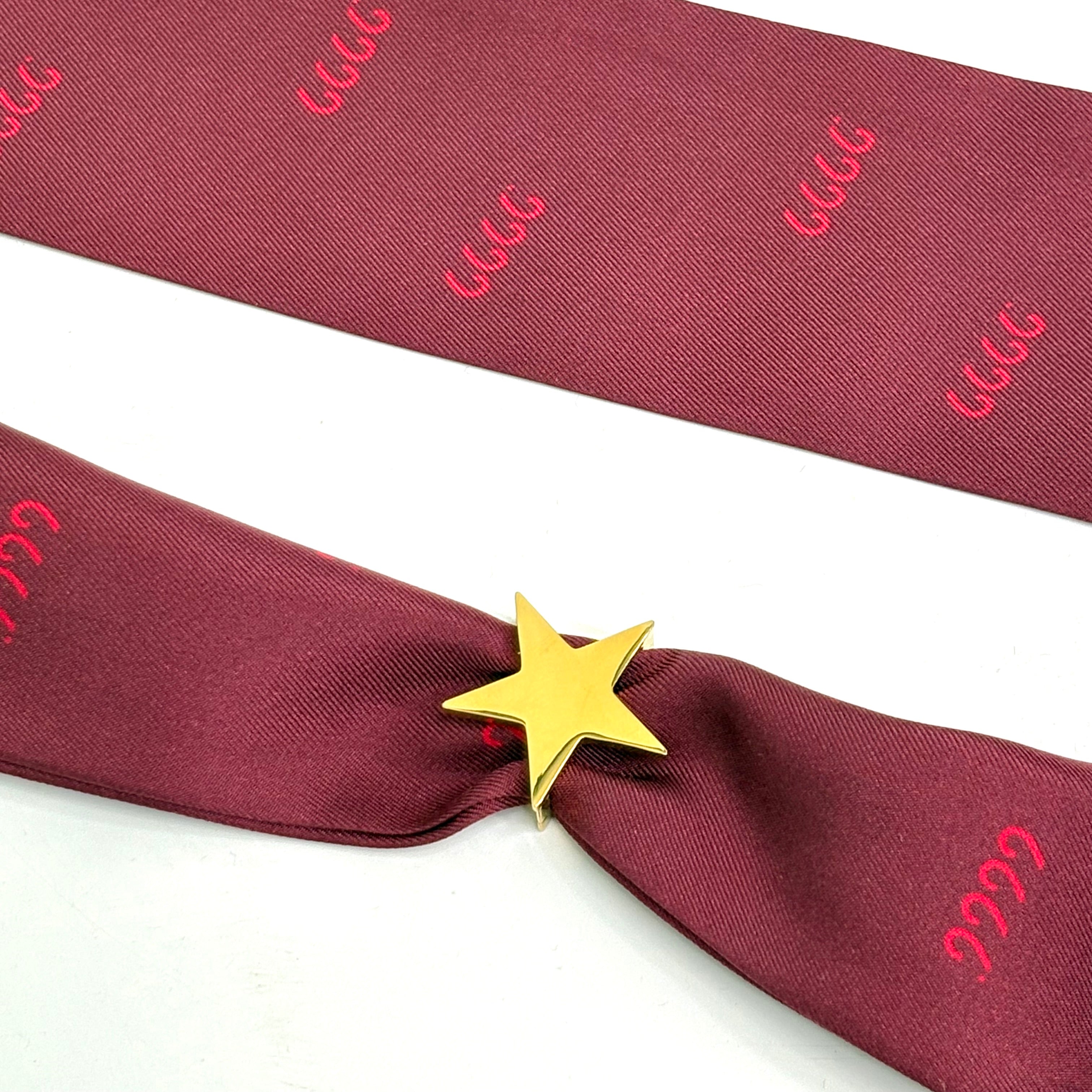 Shining Star Skinny Scarf Slide