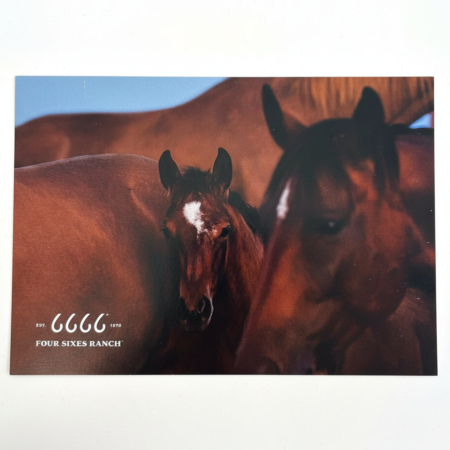 6666 Ranch Post Card