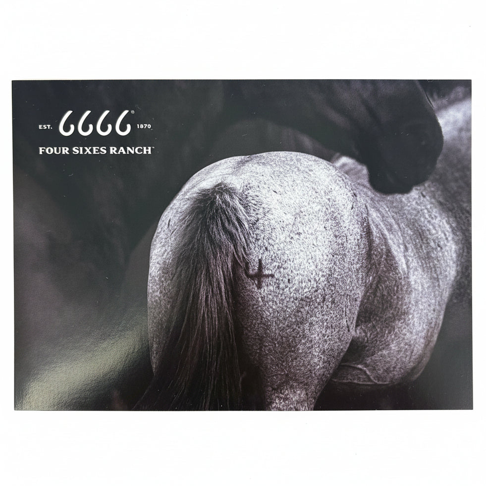 6666 Ranch Post Card