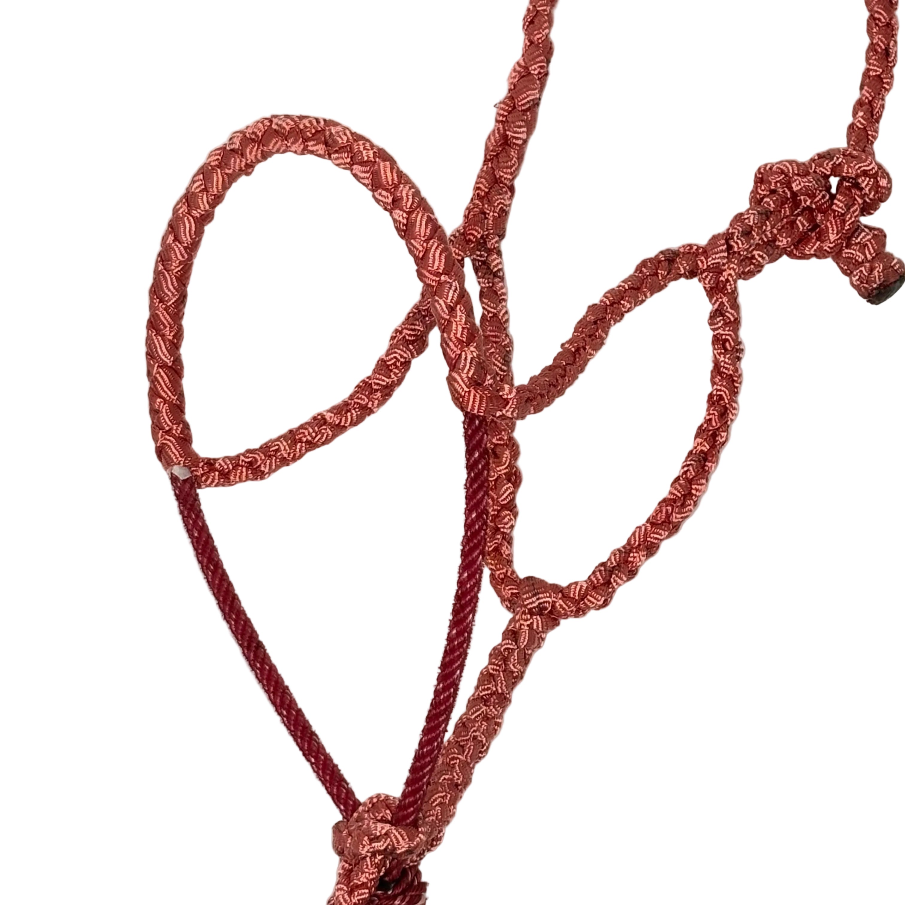 Rope Noseband Halter