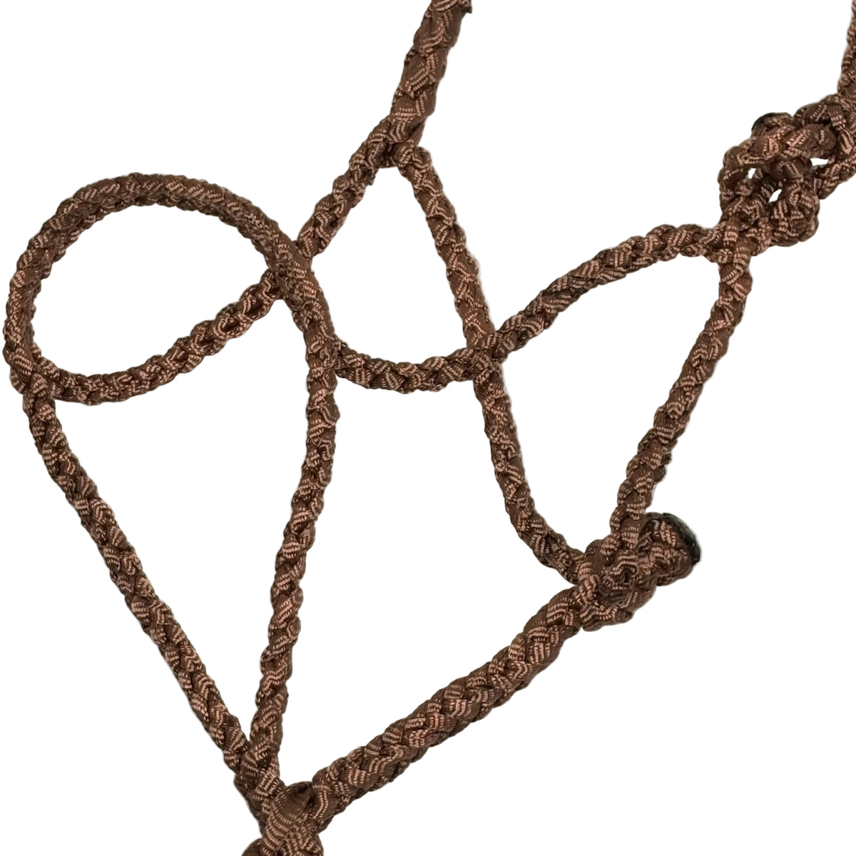Braided Rope Halters