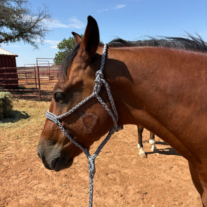 Braided Rope Halters