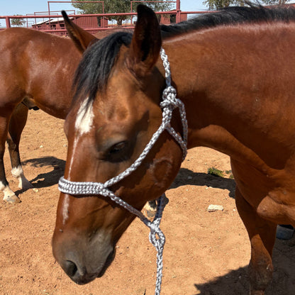 Braided Rope Halters