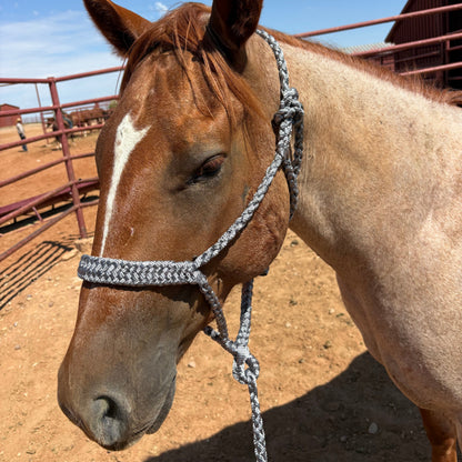 Braided Rope Halters