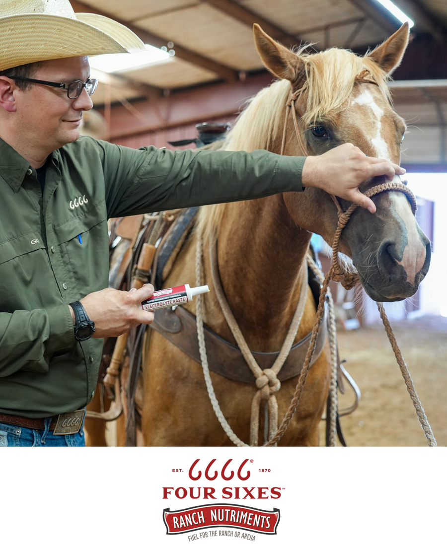 Brand Family – Shop 6666 Ranch