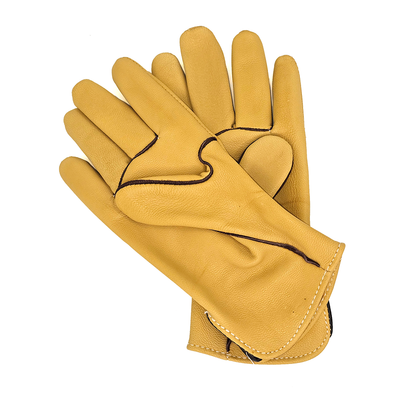 Four Sixes Goat Skin Gloves (Unbranded)