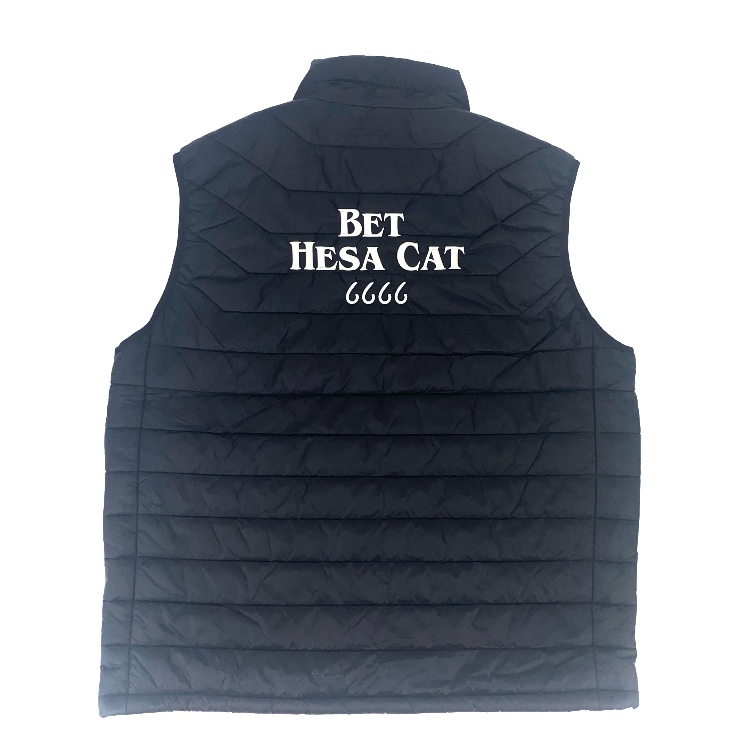 Bet Hesa Cat - Four Sixes Stallion Vest – Shop 6666 Ranch