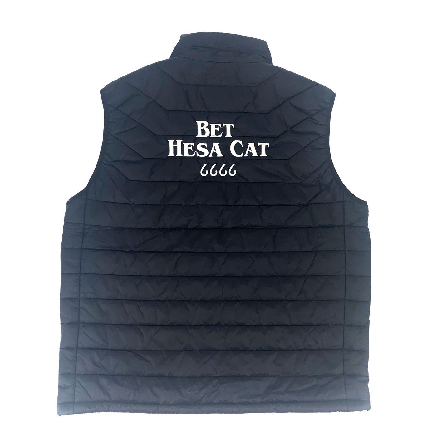 Bet Hesa Cat - Four Sixes Stallion Vest