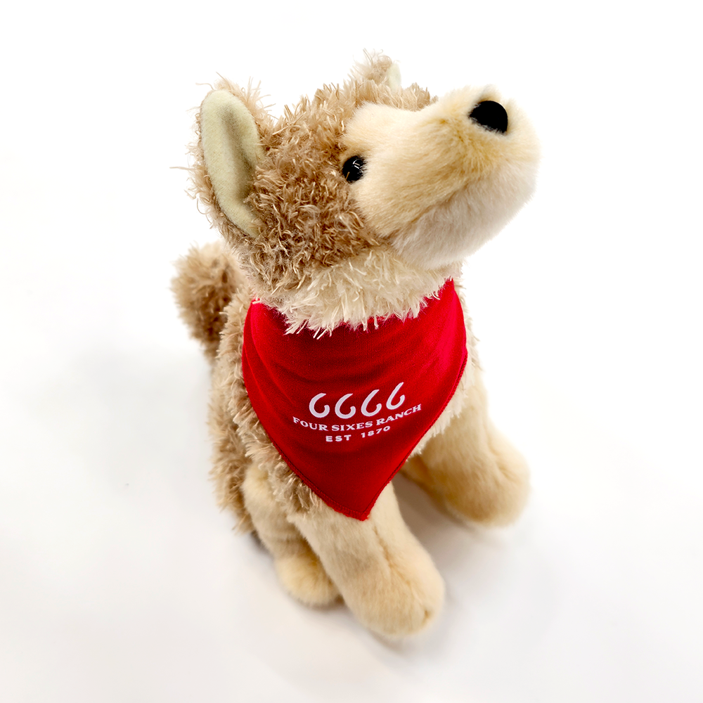 Four Sixes Coyote-Trickster