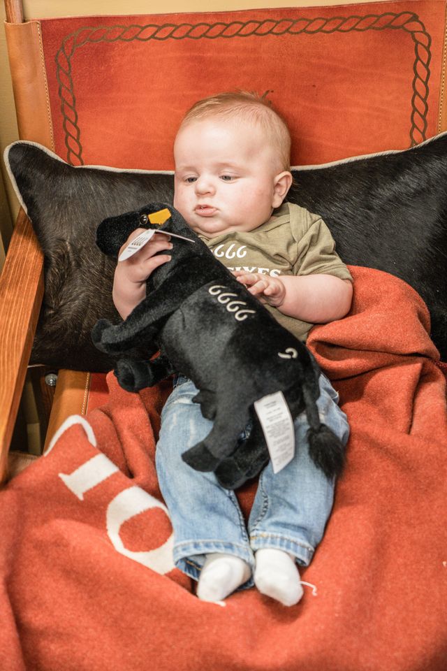 6666 Branded Cow Stuffed Animal