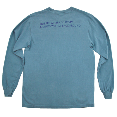Brands with a Background Long Sleeve - Ice Blue