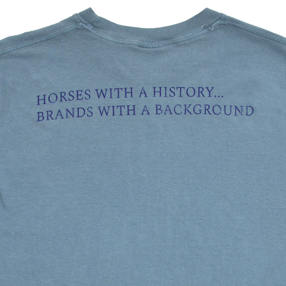 Brands with a Background Long Sleeve Back - Ice Blue