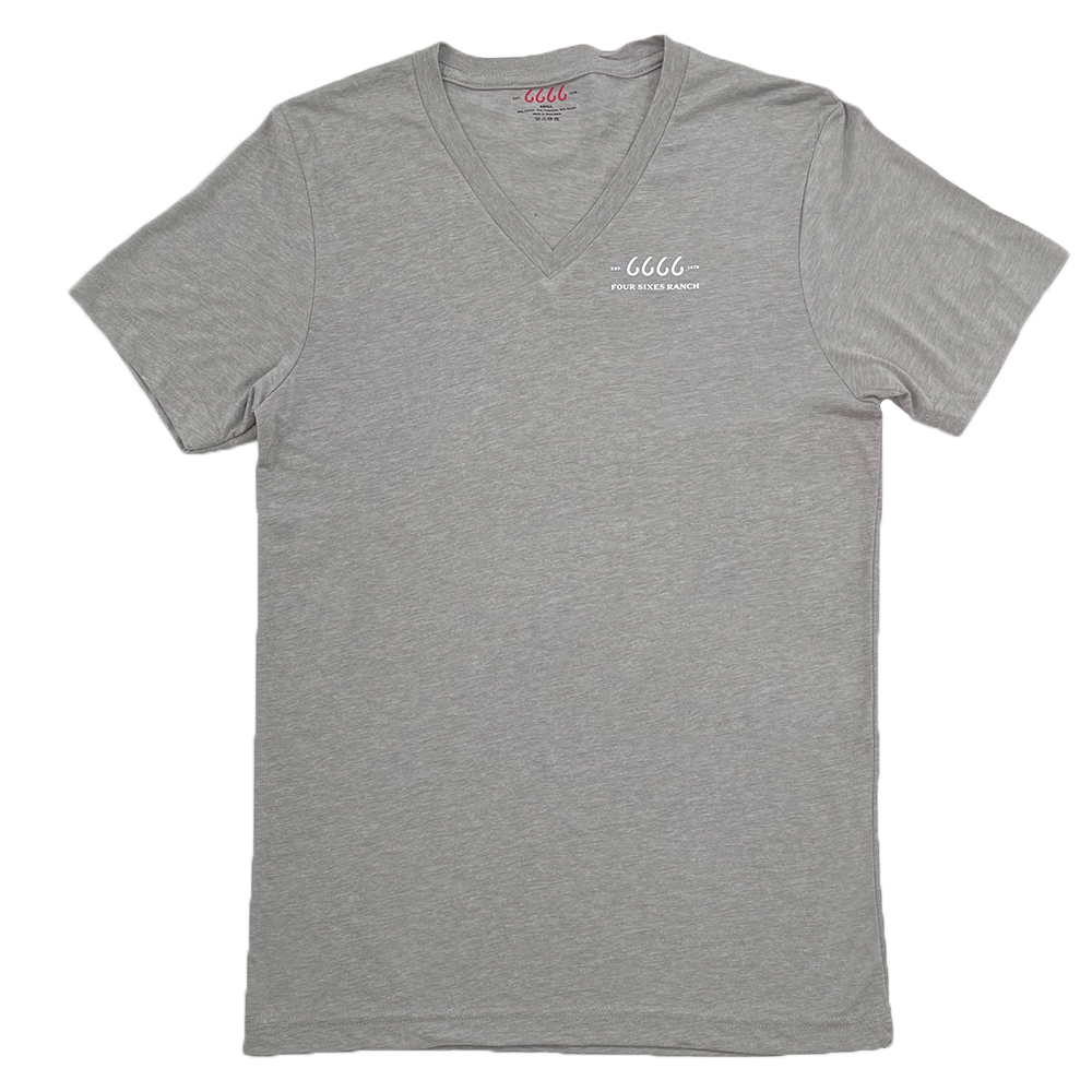 Short Sleeve Grey V-neck w/ Small Logo