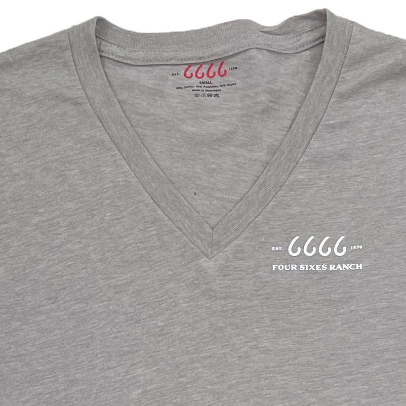 Short Sleeve Grey V-neck w/ Small Logo