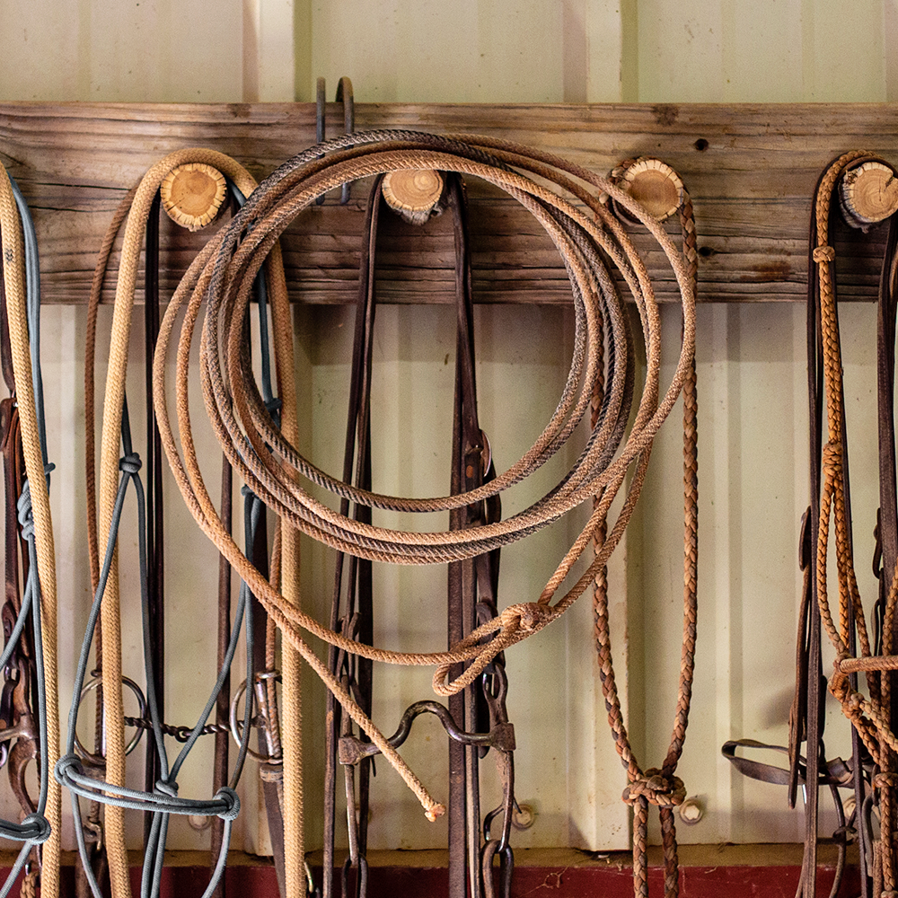 Accessories – Shop 6666 Ranch